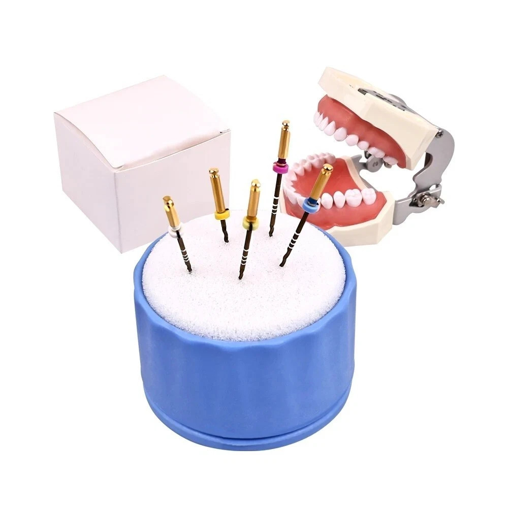 Dental Endodontic Files Round Stand Cleaning Holder Foam Sponges Autoclavable