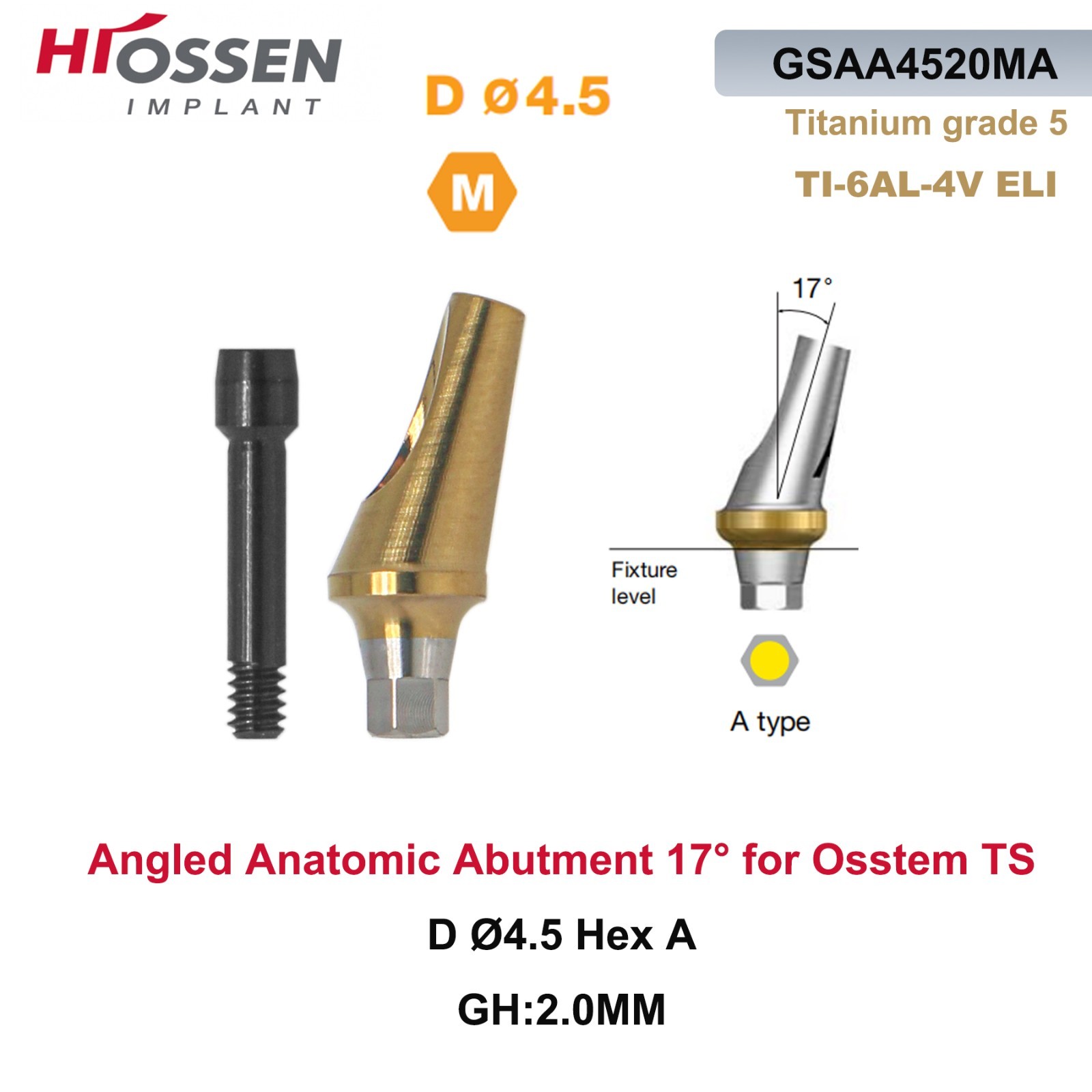 17° Angled Abutment Mini Hex A/B Type for Hiossen Osstem TS Mini Titanium Dental