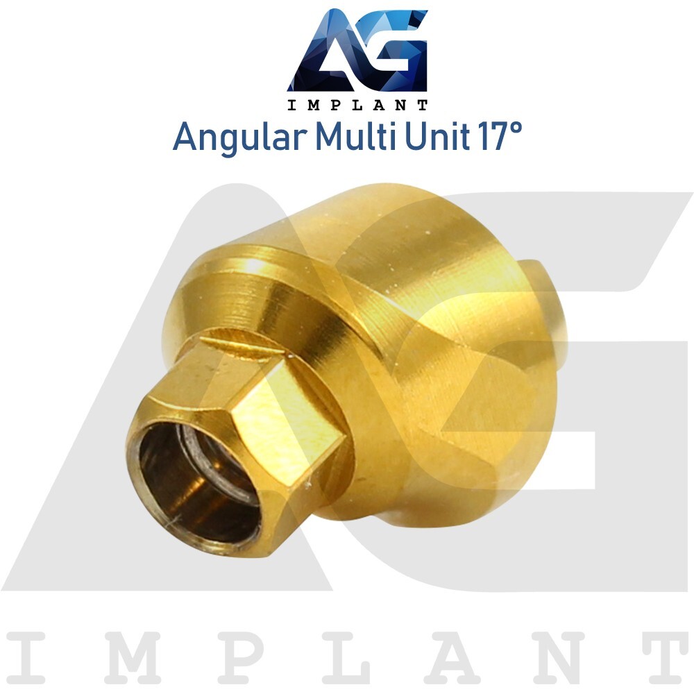 5 Angular Multi Unit 1.6 Abtments 17° and Titanium Sleeve With Screw
