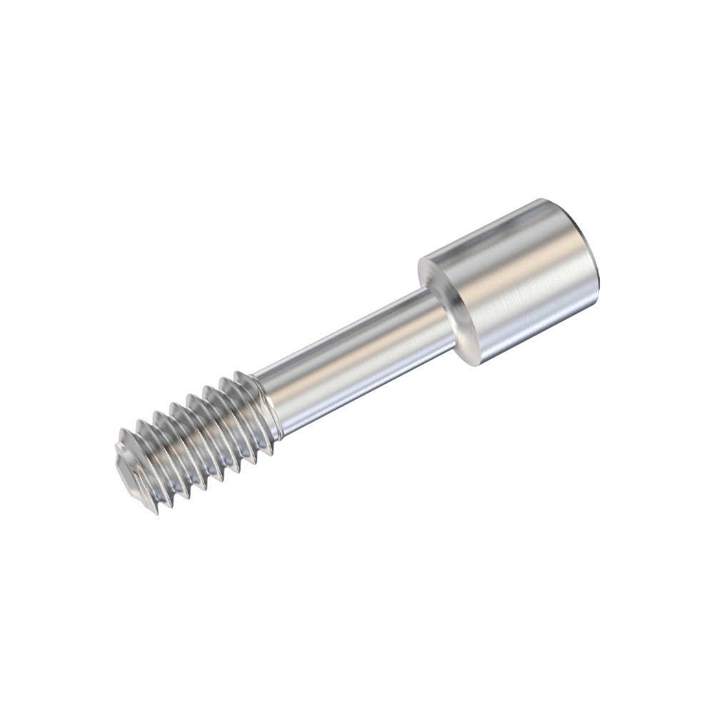 100x Dental Titanium Abut ment Fixation Screw Screws Internal Hex 2.0mm