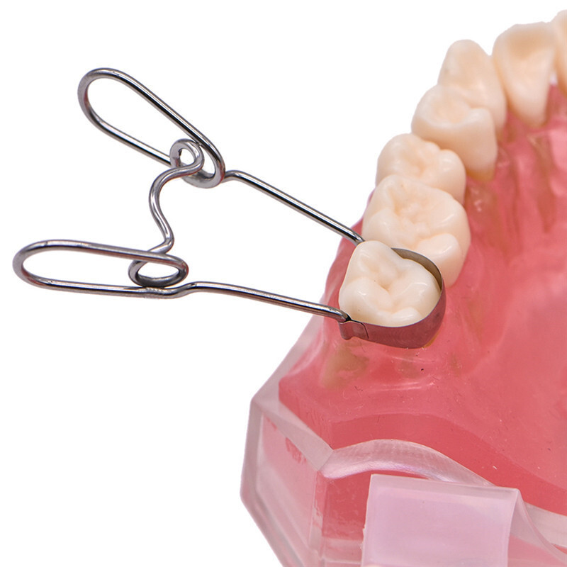 Dental Sectional Contoured Matrices Matrix Ring Clamp Wedges springclip TOR VM