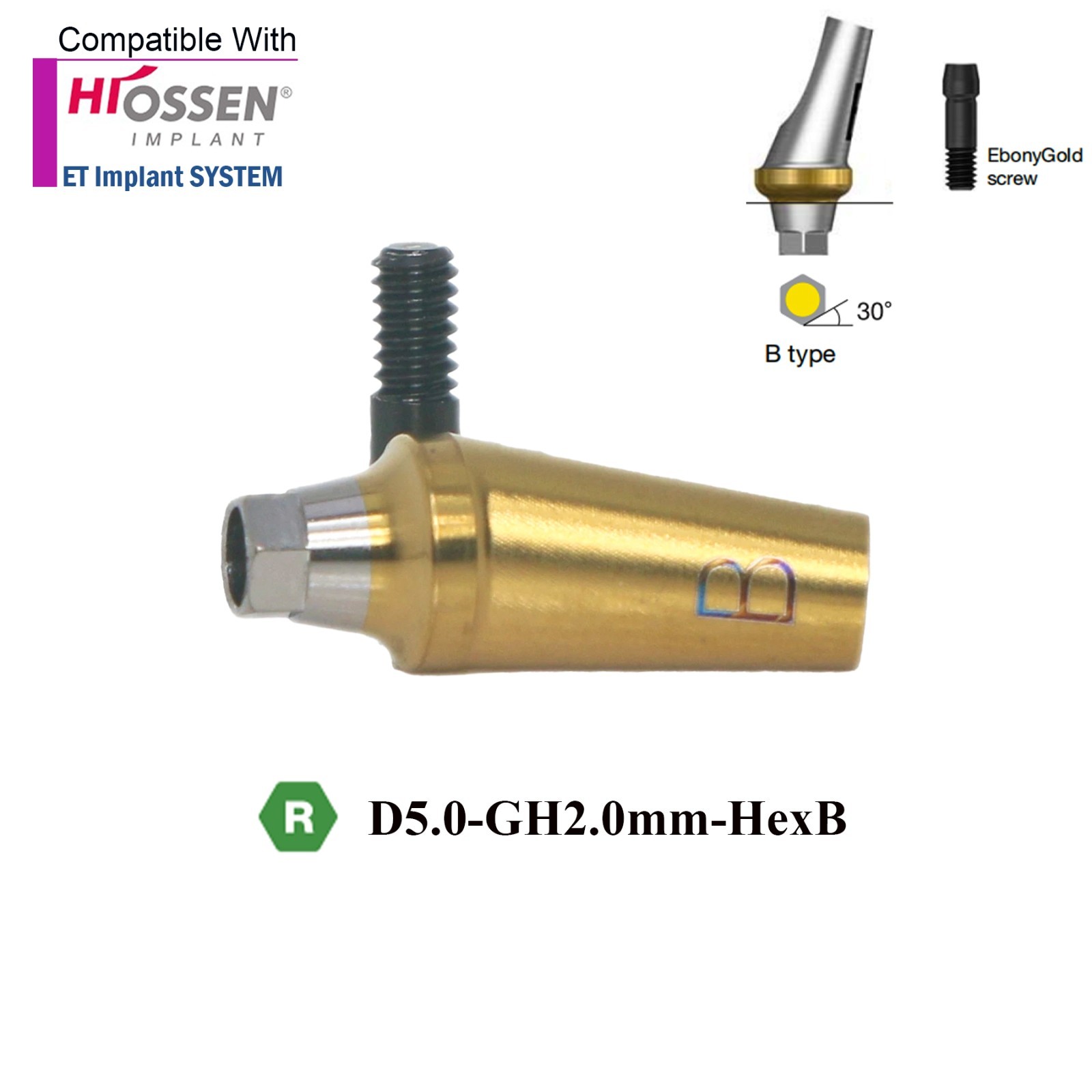 US Dental 17° Angled Anatomic Abutment Mini /Regular Fits Hiossen Osstem TS