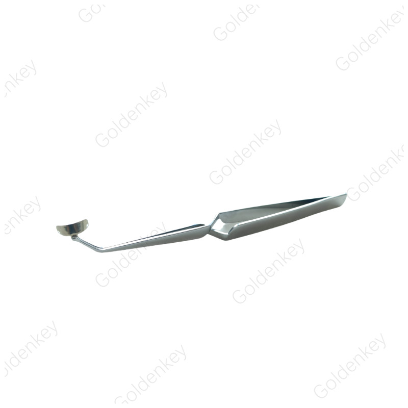 Dental Matrix Holder Clamp Matrices Tweezer Band Forcep Matrice Placement Tool