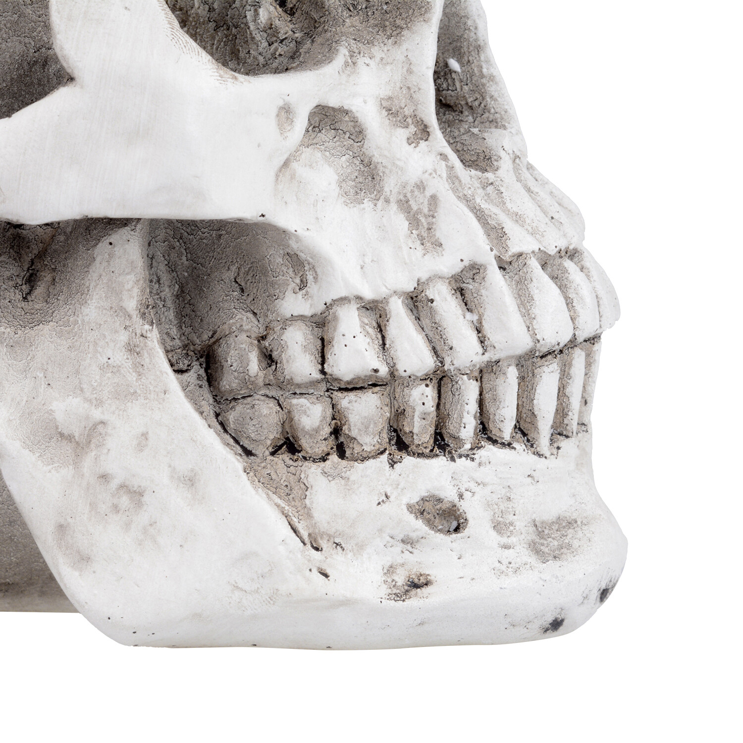 1:1 Retro Human Skull Replica Resin Anatomical Model Medical Life Size Realistic