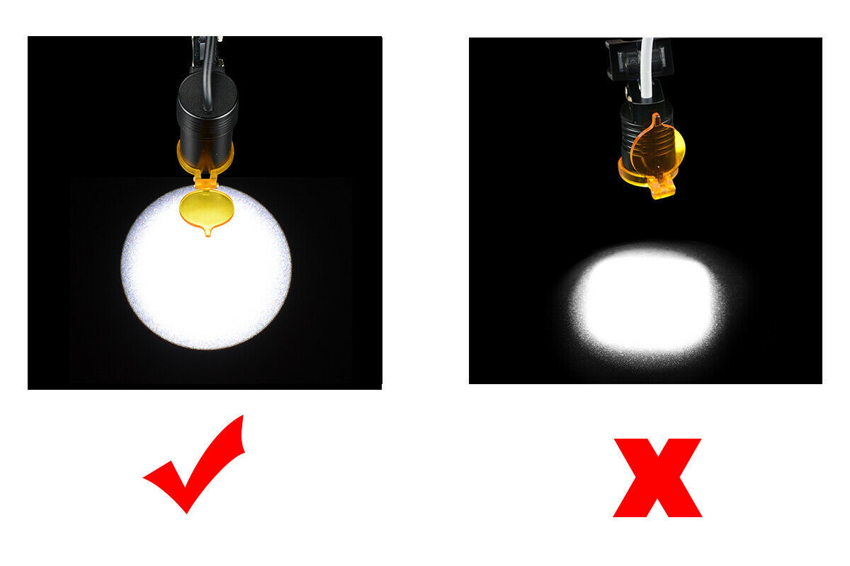 Surgical Dental 5W LED Headlight Lamp with Filter without Battery for Loupes US