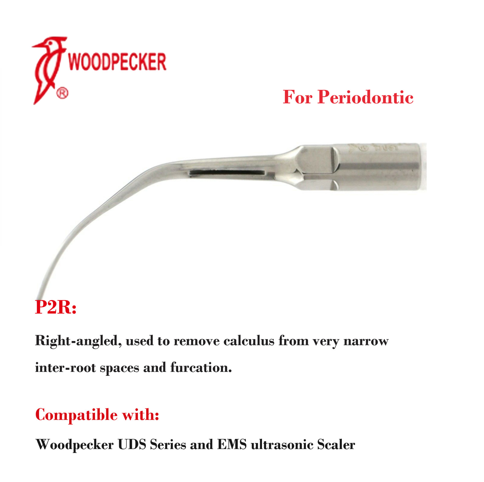 Woodpecker DTE Dental Ultrasonic Piezo Scaler Tips Endo Perio Scaling EMS Satele