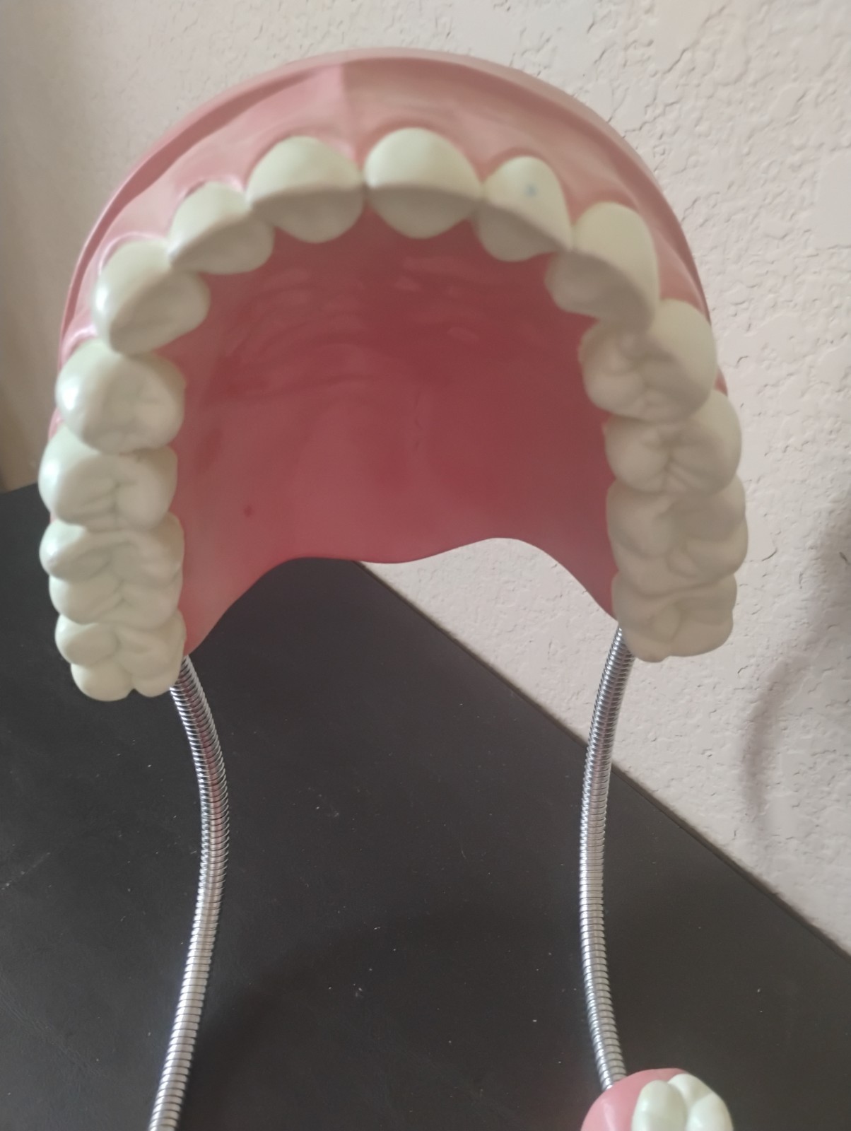 Large Anatomical Dental Model with Flexible Hinges for Educational Demonstration