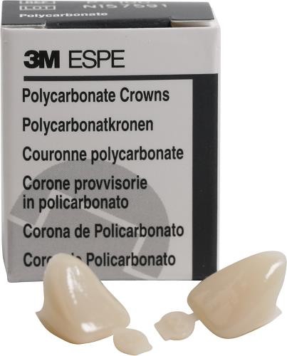 3M ESPE P33 Polycarbonate 33 Upper and Lower Right Cuspid Crown Forms 5/Bx