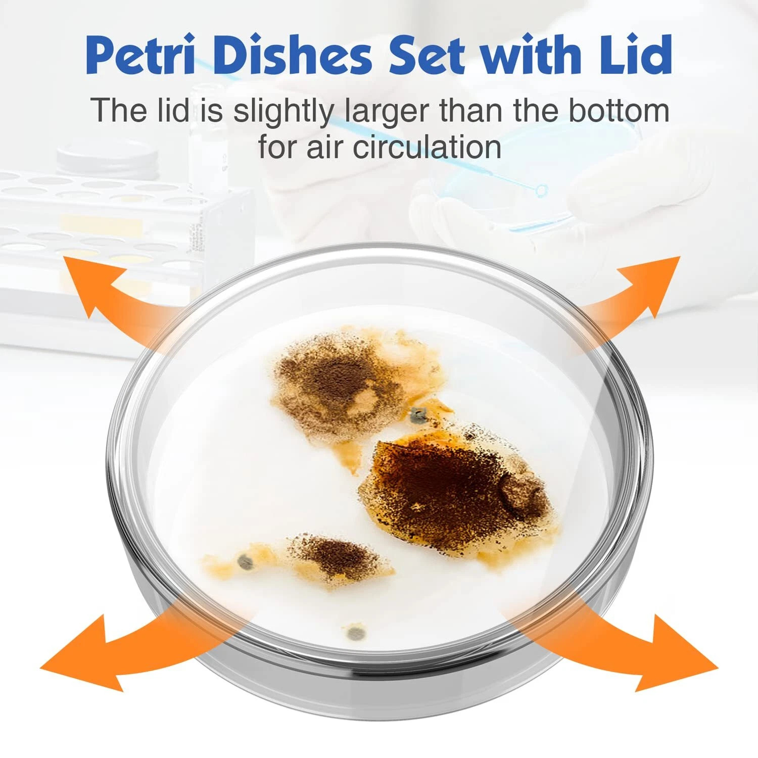 60/90/100mm Glass Lab Petri Dishes with Lids Autoclavable Petri Plates Reusable