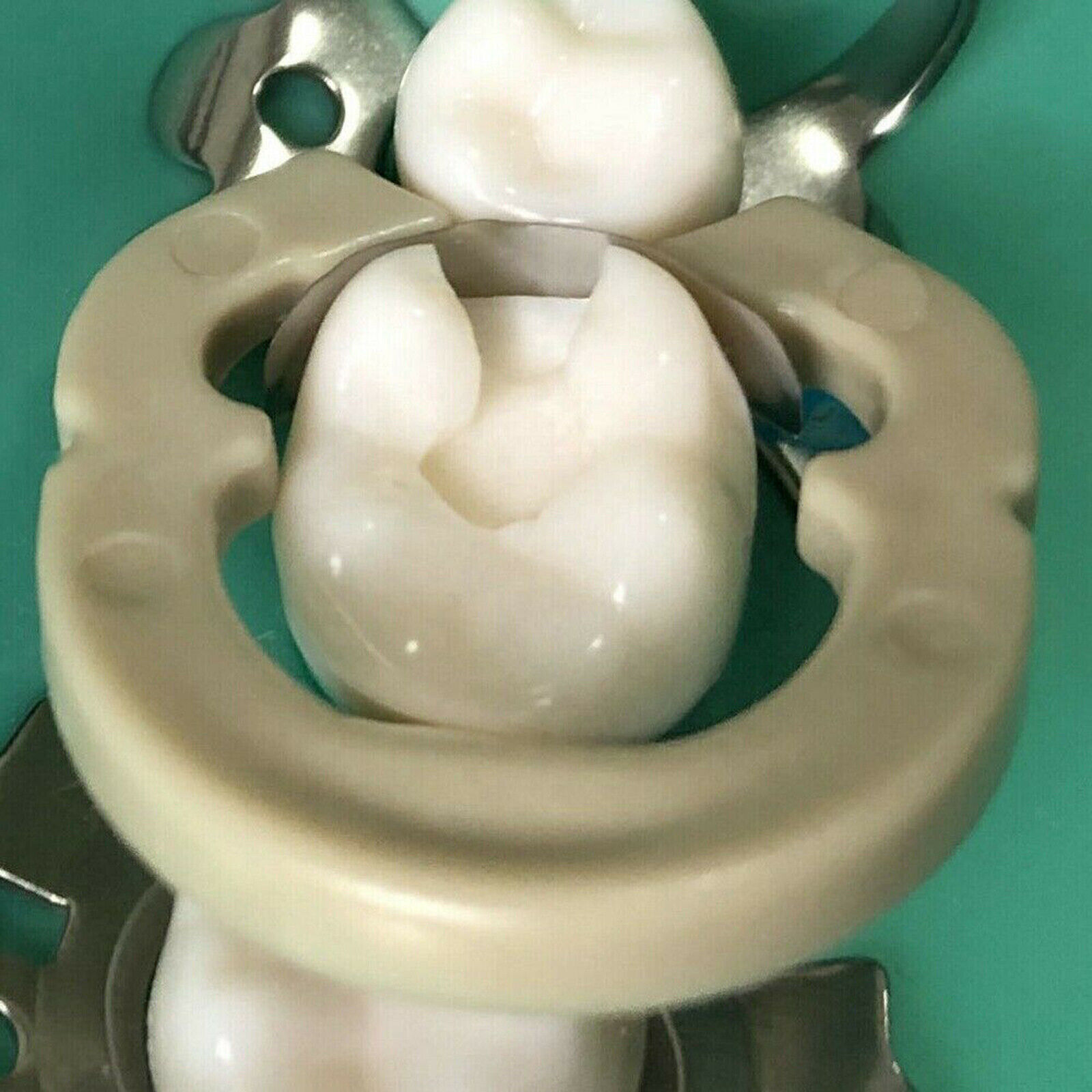 Dental Sectional Contoured System Matrices Matrix Bands Resin Refills Ring Clamp