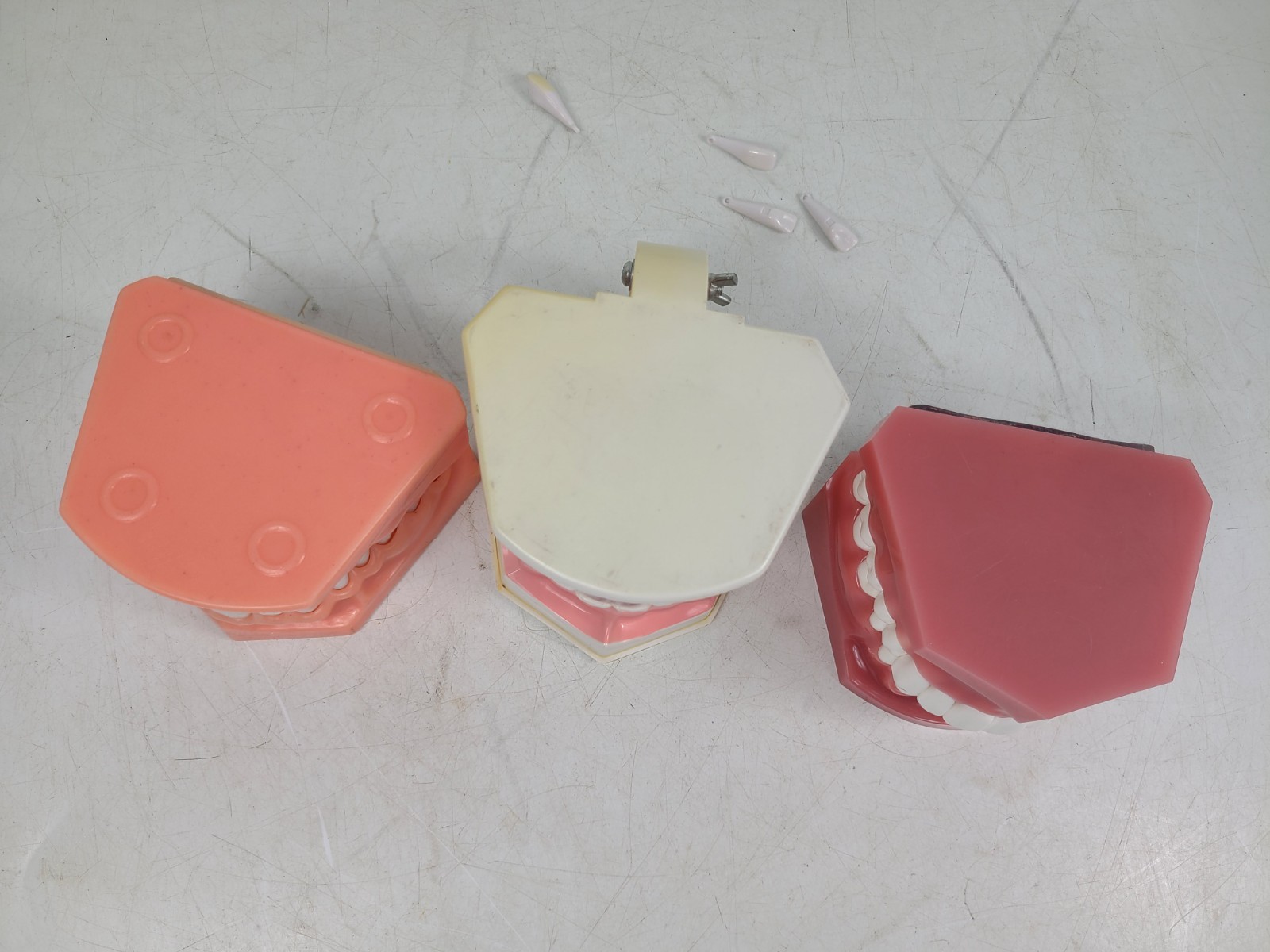 Colgate Teeth Model Display With Removable Teeth Training Aid Lot Of 3