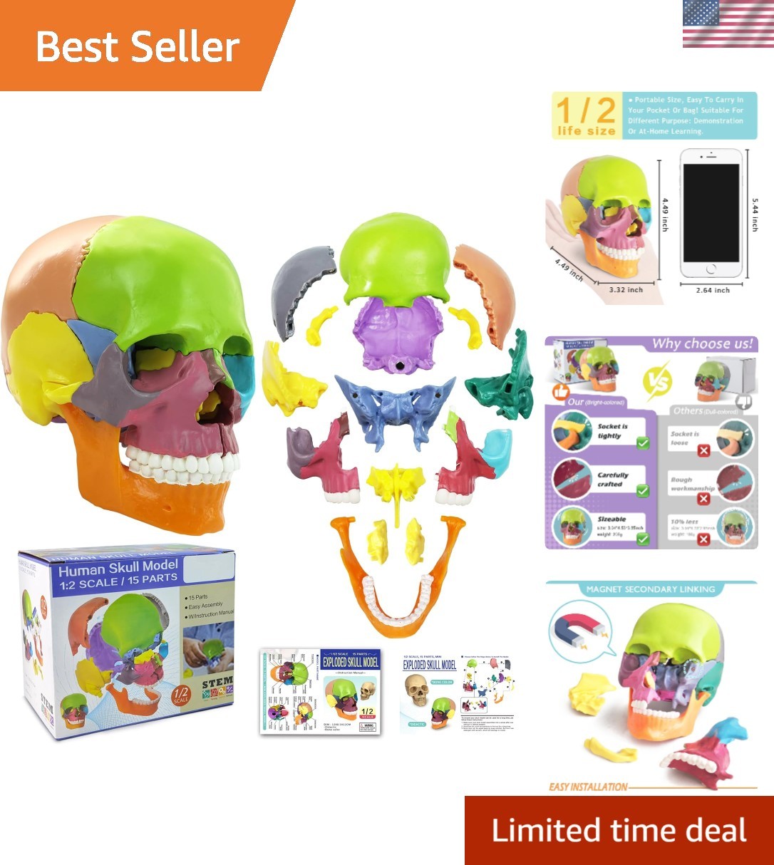 Colorful 15-Piece Human Skull Model for Educational & Medical Use
