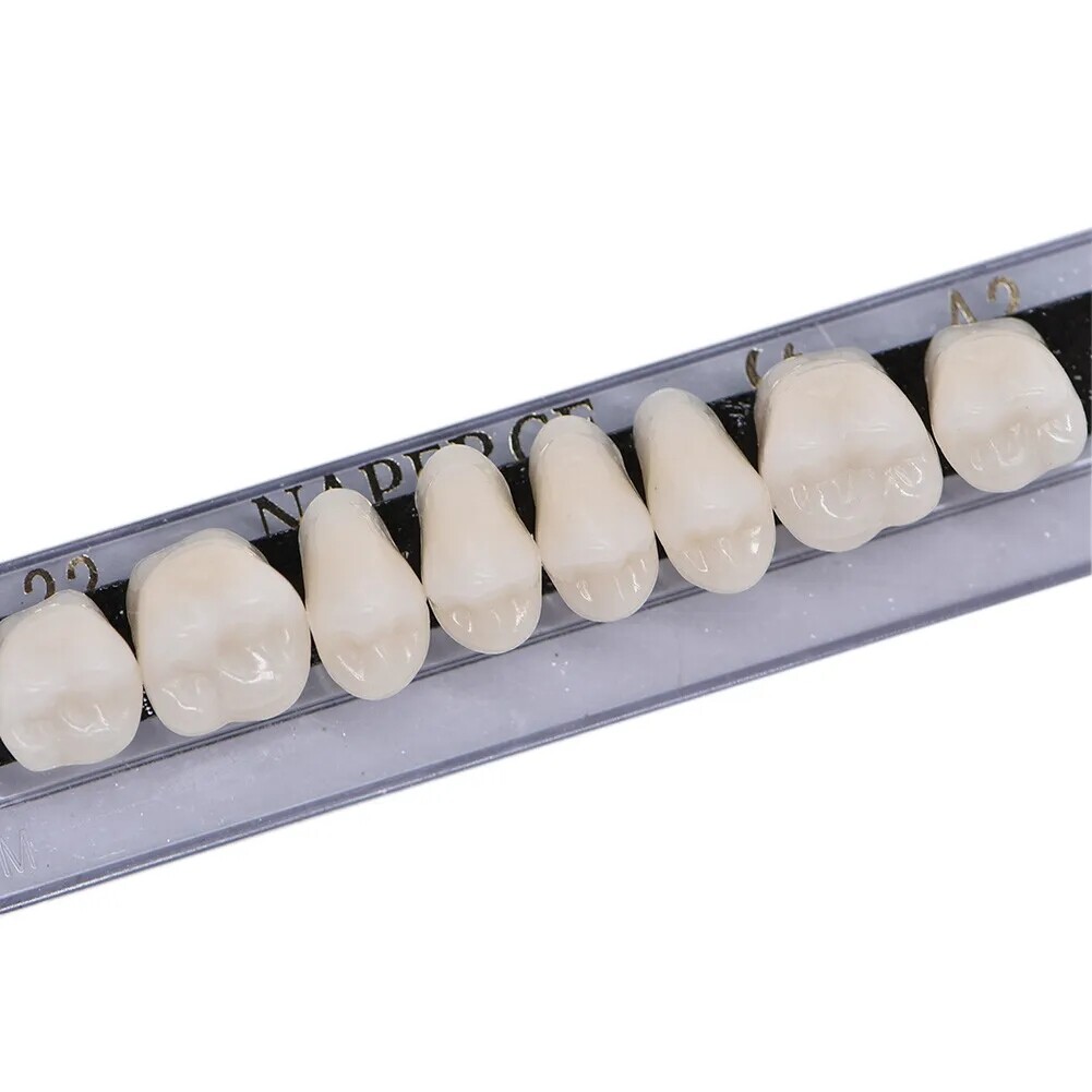 168X Acrylic Resin A1/A2/A3 Dental Denture Teeth Upper Lower Shade 22/23/24# USA