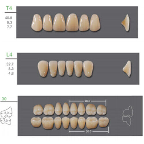 Huge Kaili Synthetic Polymer False Teeth Shade B1 Full Set: 28 teeth/set 4 sets