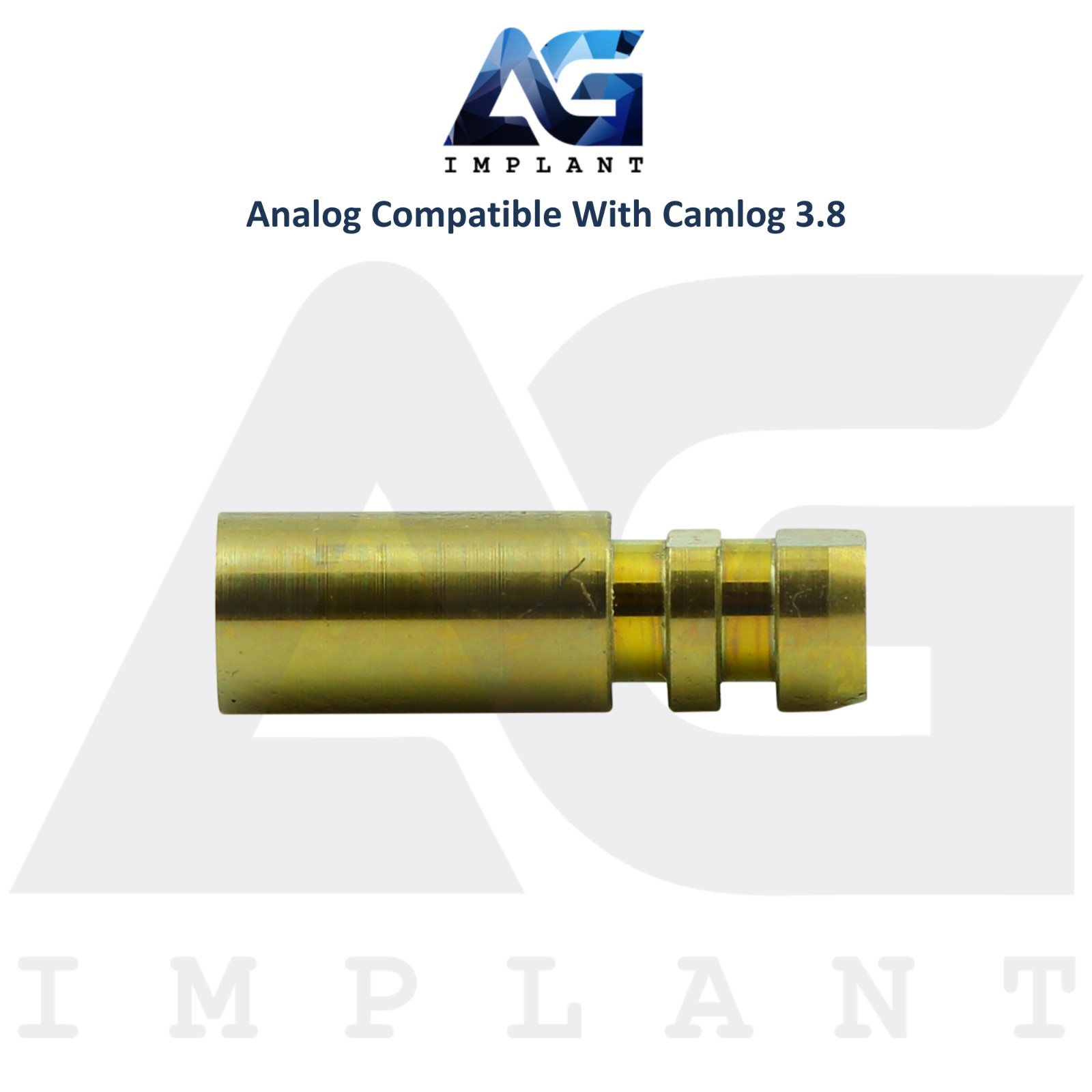 10 Fixture Analog Compatible with BioHorizons® CAMLOG® Ø3.8mm Dental Lab