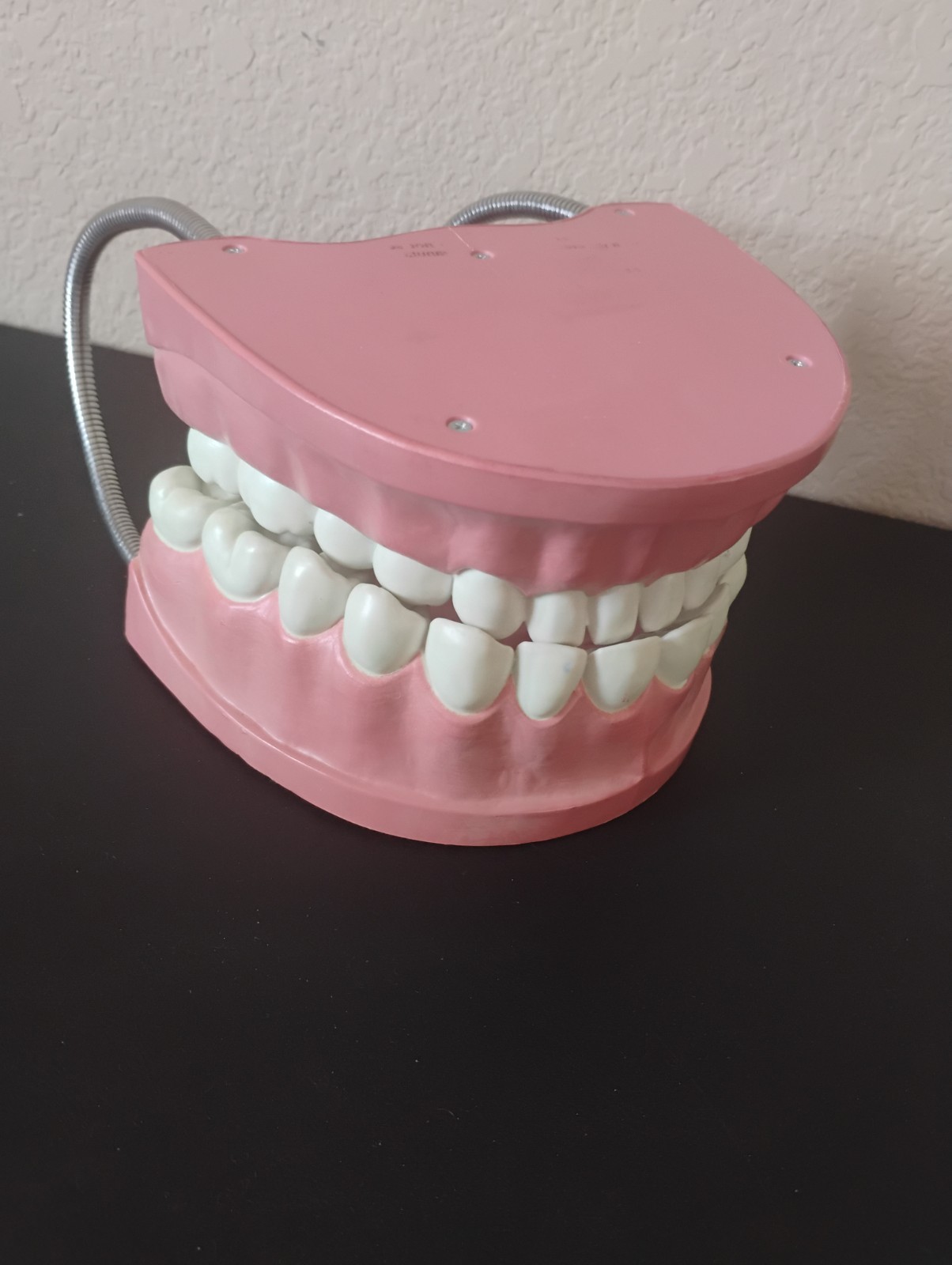 Large Anatomical Dental Model with Flexible Hinges for Educational Demonstration
