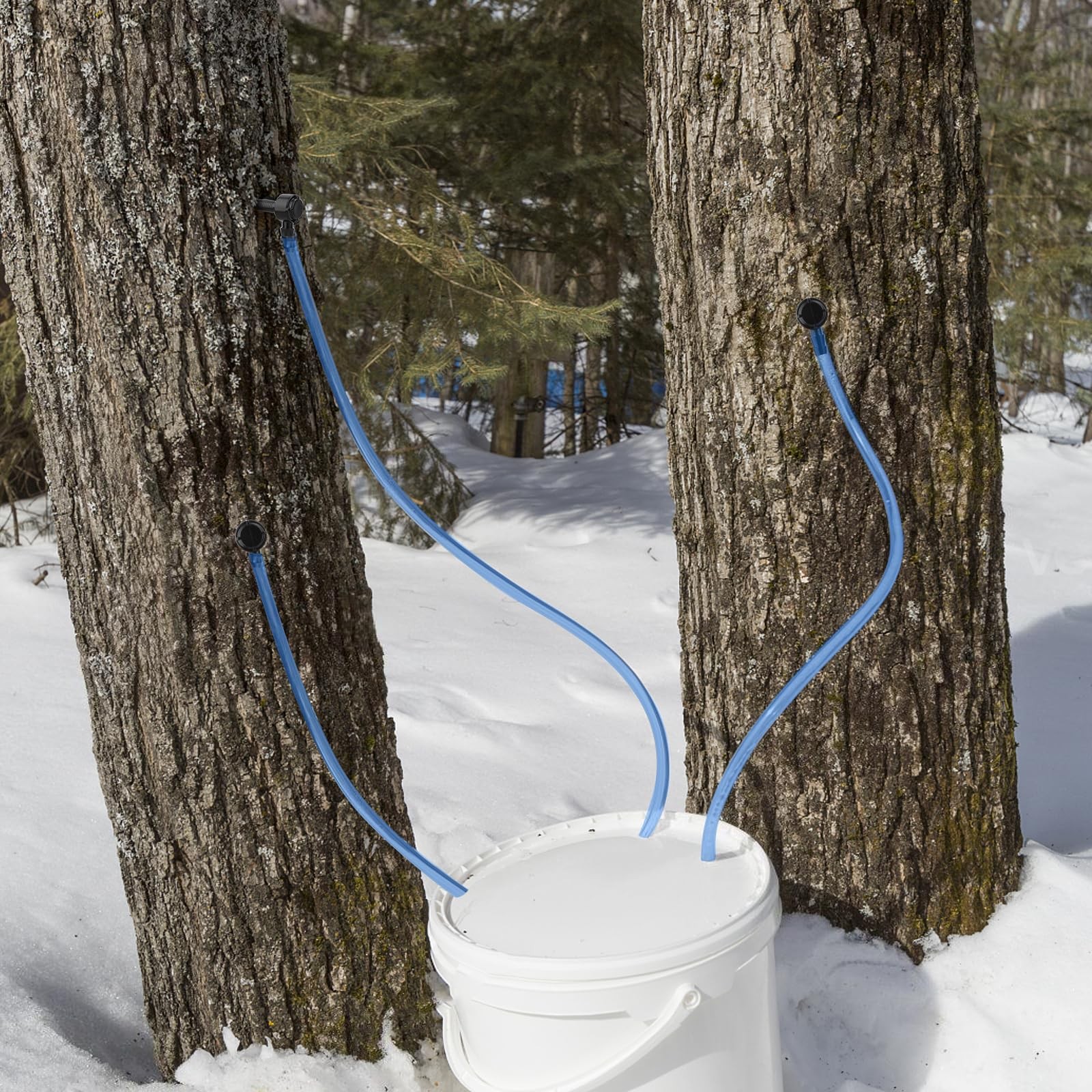 Maple Syrup Tapping Kit, Upgrade Taps Set Include 15 Count (Pack of 1)