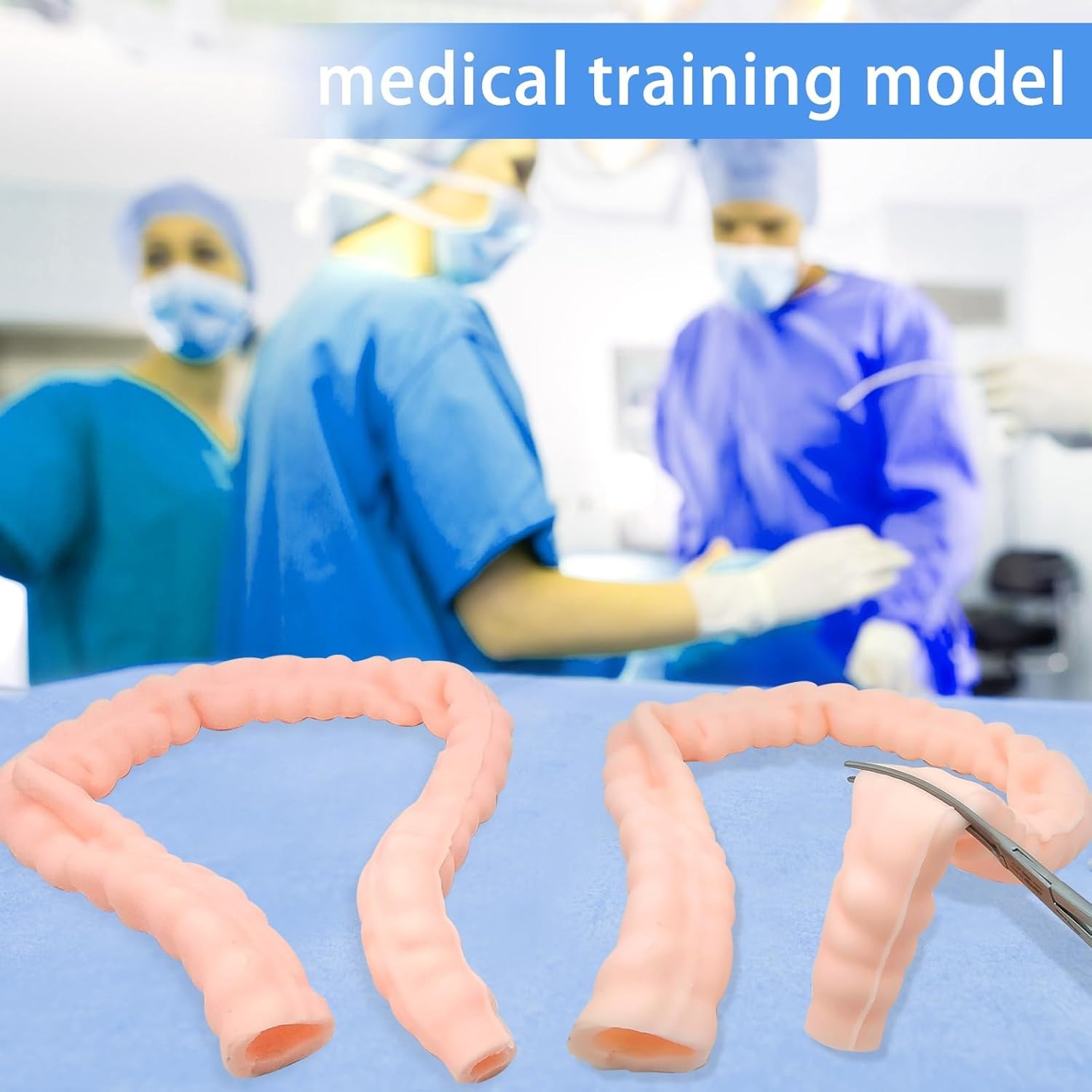 Large Intestine Model,Colon Suturing Practice,Electrocautery Practice, Understa