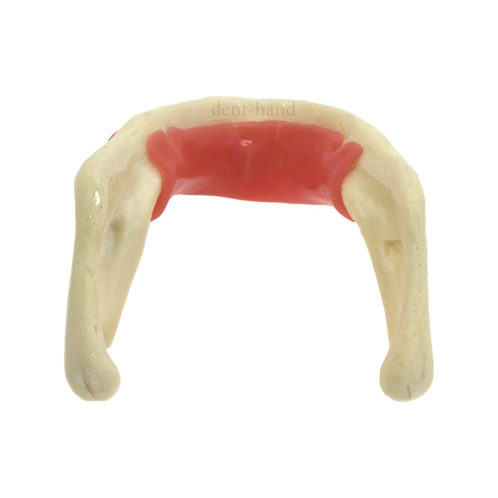 Dental Mandible Implant Jaw Bone Model For Practice Drilling M2022/2023