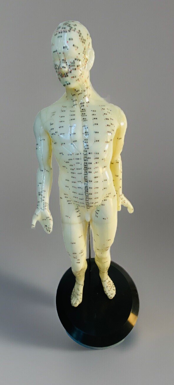 Chinese Acupuncture Model Male 17” In With Base Rubber Model Vintage