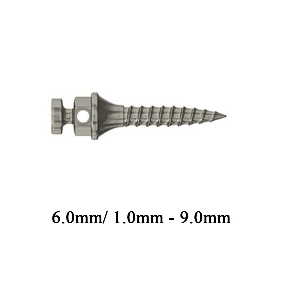 1pcs Dental Orthodontic TAD Mini Screw Surg ical Impl ant Titanium
