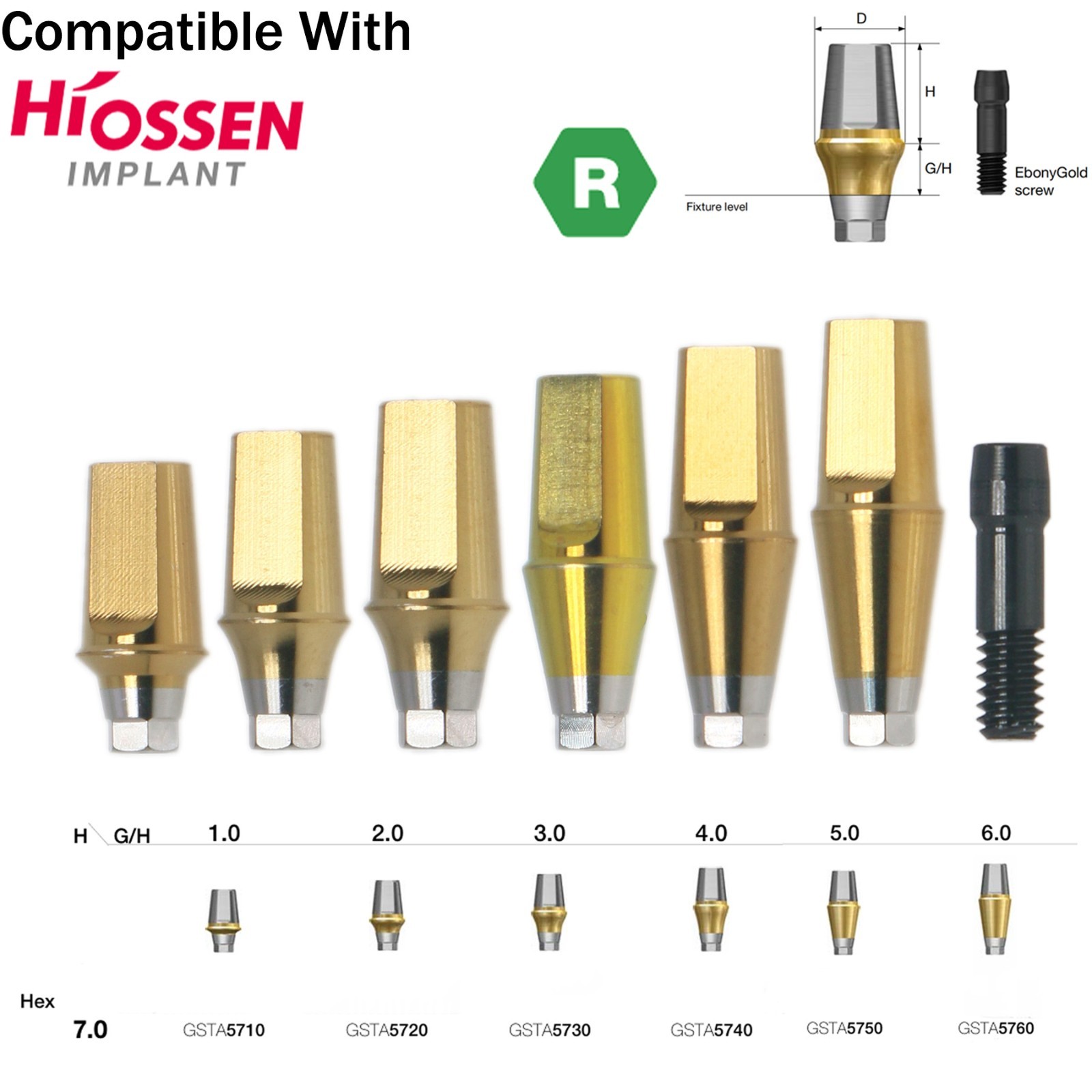 US Dental Straight Transfer 17° Angled Anatomic Abutment M/R For Hiossen Osstem