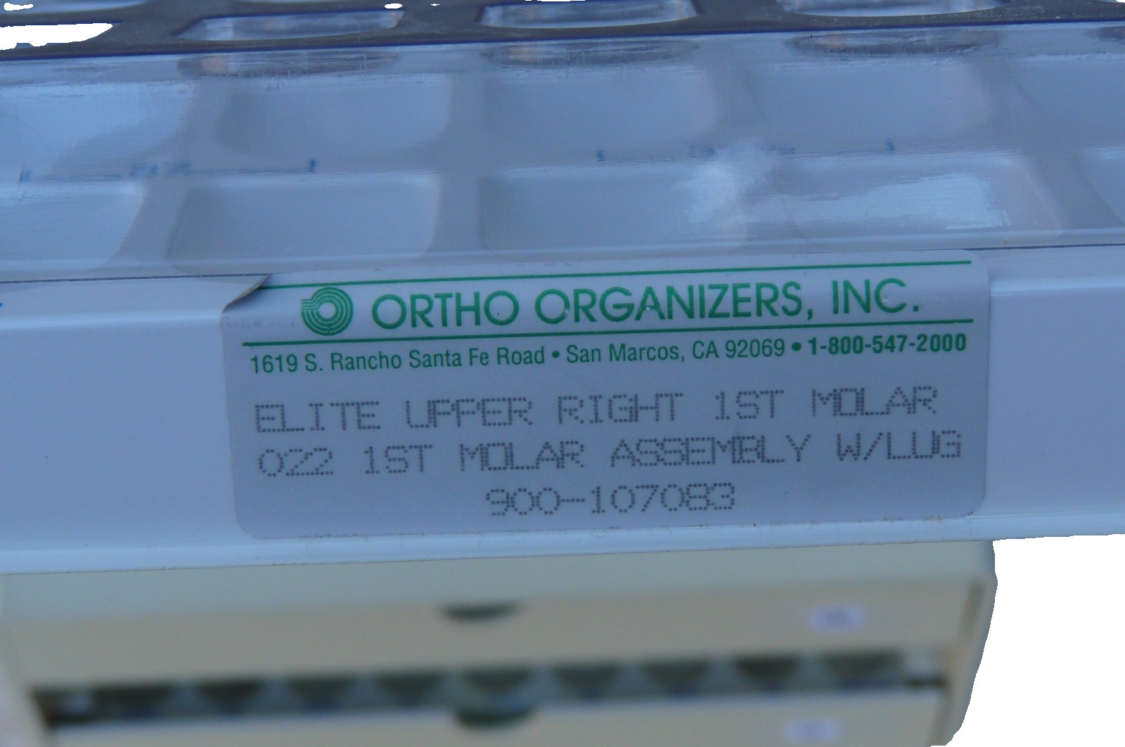 molar bands
