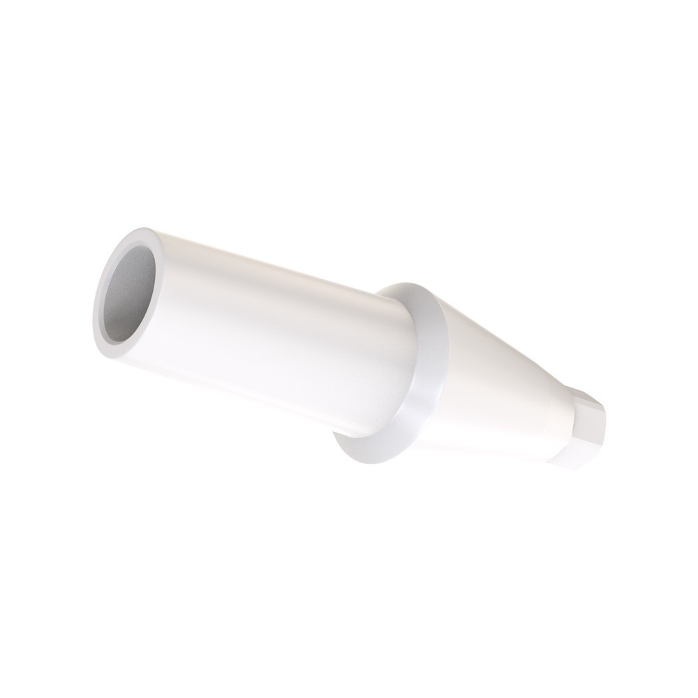 1pcs DSl Straight Abutment Anatomic Peek Conical Connection NP Dental Lab