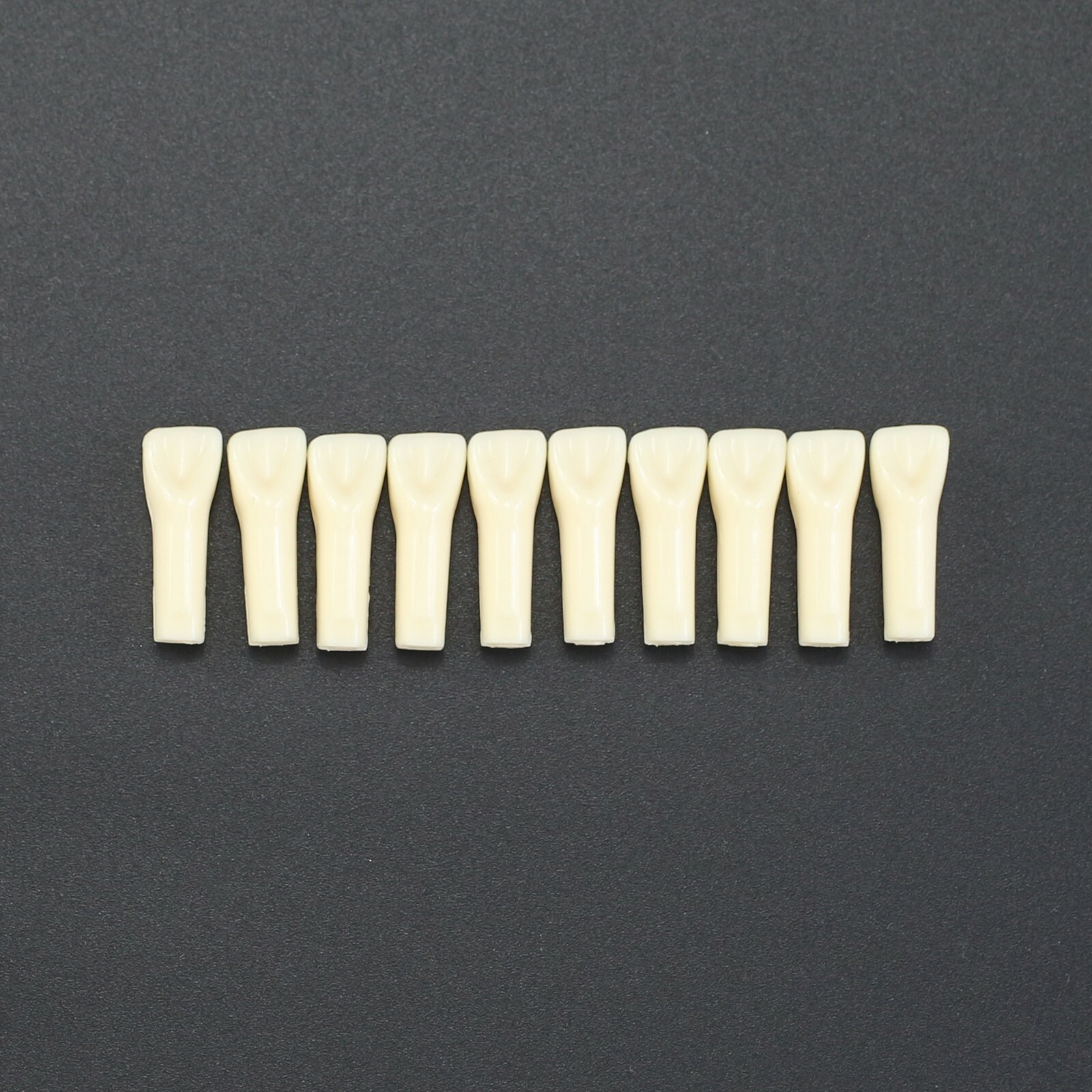 10pcs/lot Individual Replacement Teeth For 32 Teeth Typodont Kilgore Nissin 200