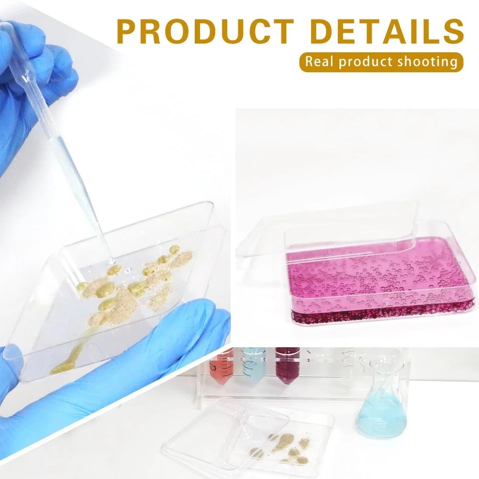 BIPEE 10 Pack Sterile Thick Plastic Petri Dishes with Lid，10cm x 10cm Square…