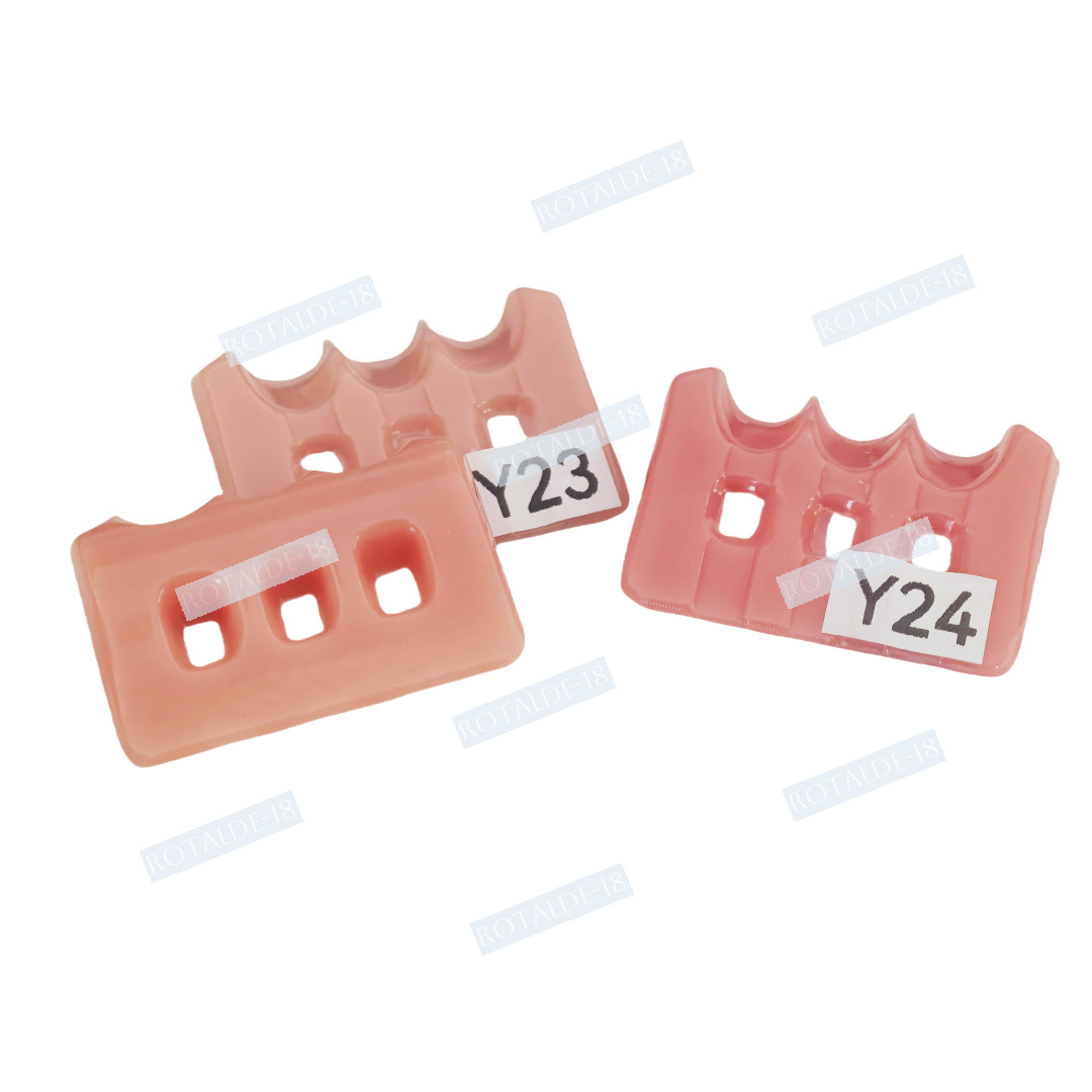 Gum Shade Gingiva Color Plate Indicator Tri-Color Gummy Model Similar SHOFU GC