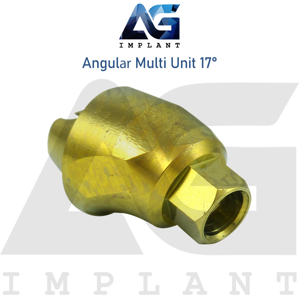 Angular Multi Unit 1.6 Abtments 17° Internal Hex New With Screw