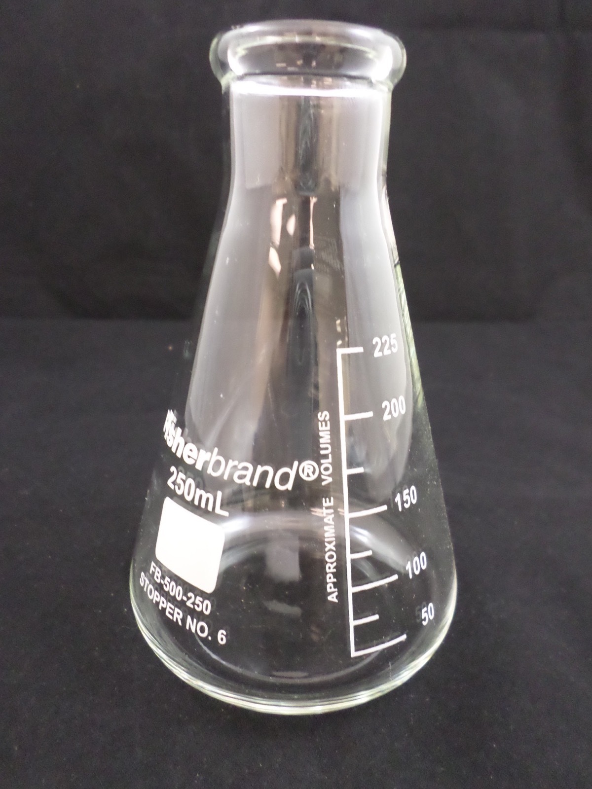 Fisher FISHERbrand Glass 250mL Beaded Rim Graduated Conical Erlenmeyer Flask