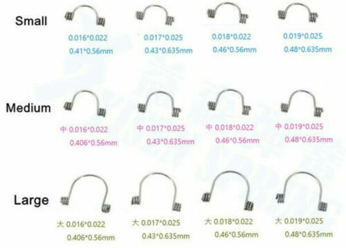 500Pcs Dental Anterior Spring Teeth Torque Rectangular Springs Door Shape LMS