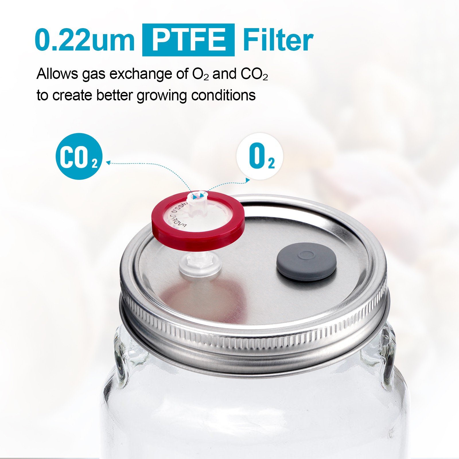 12Pcs Liquid Culture Lid Grain Spawn Cultivation Mason Jar Lid with PTFE Syringe