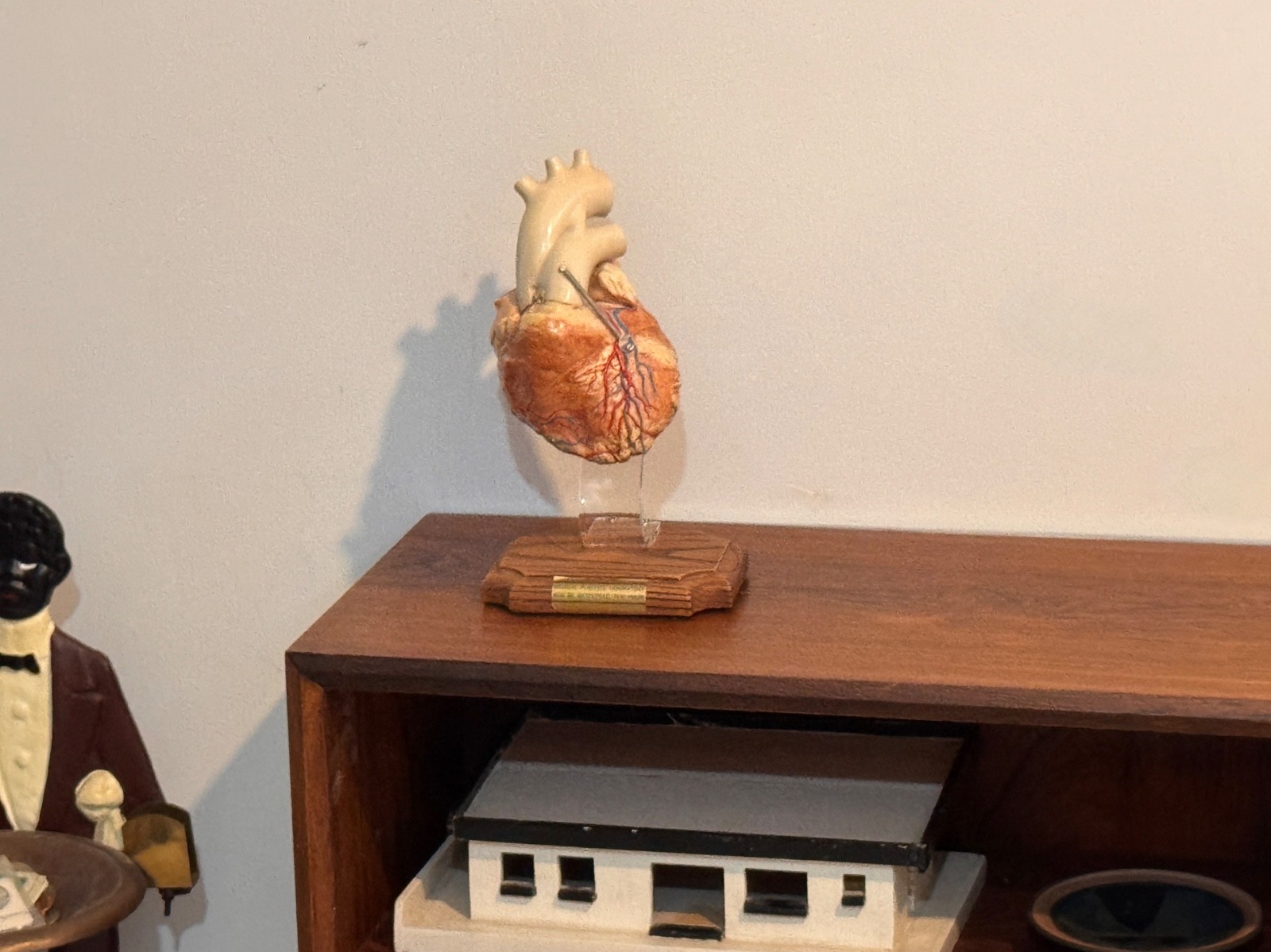 1970s Medical Plastics Laboratory Hinged Human Heart Model Sculpture Vtg Anatomy
