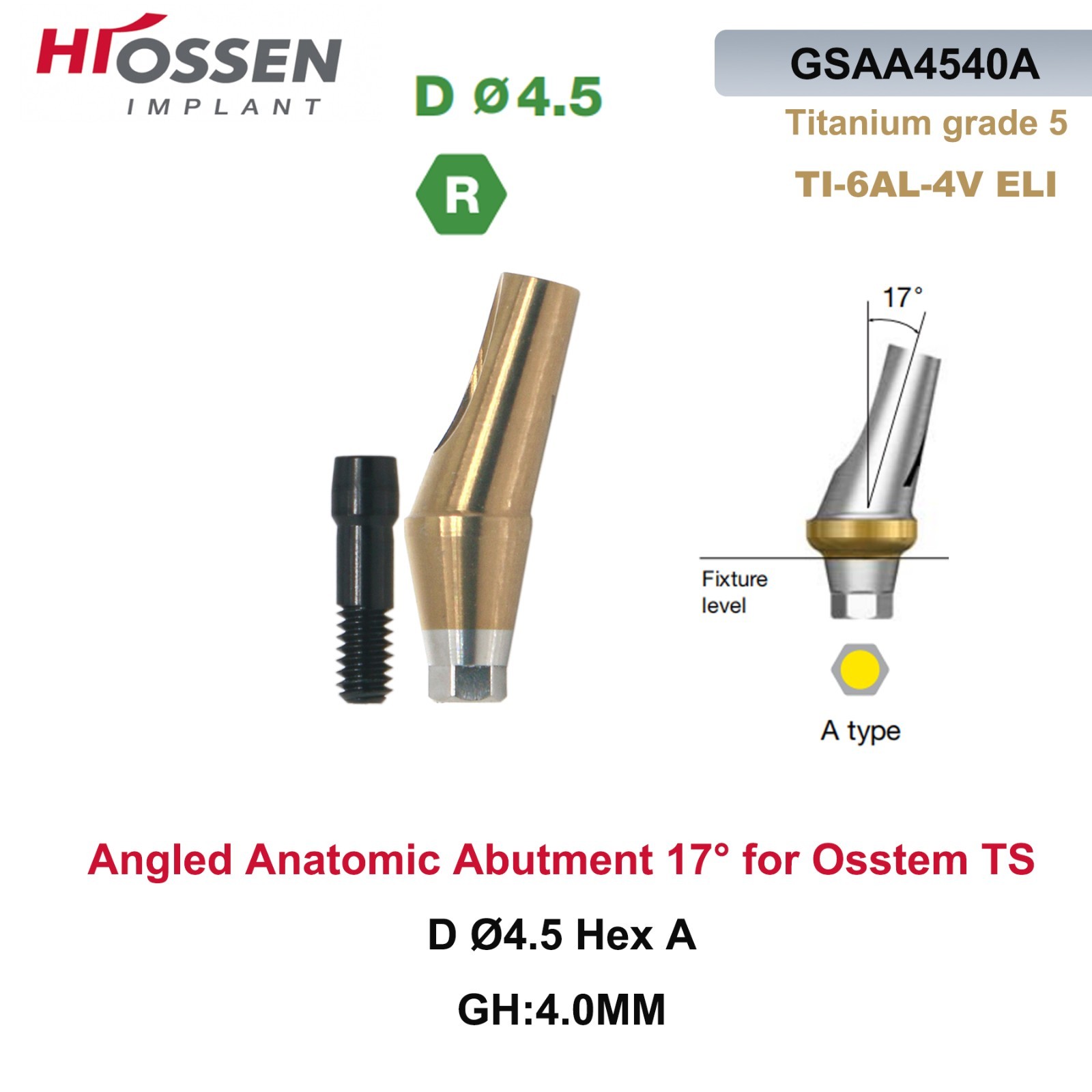 17° Angled Abutment Mini/Regular Hex Compatible with Osstem TS Implants Titanium