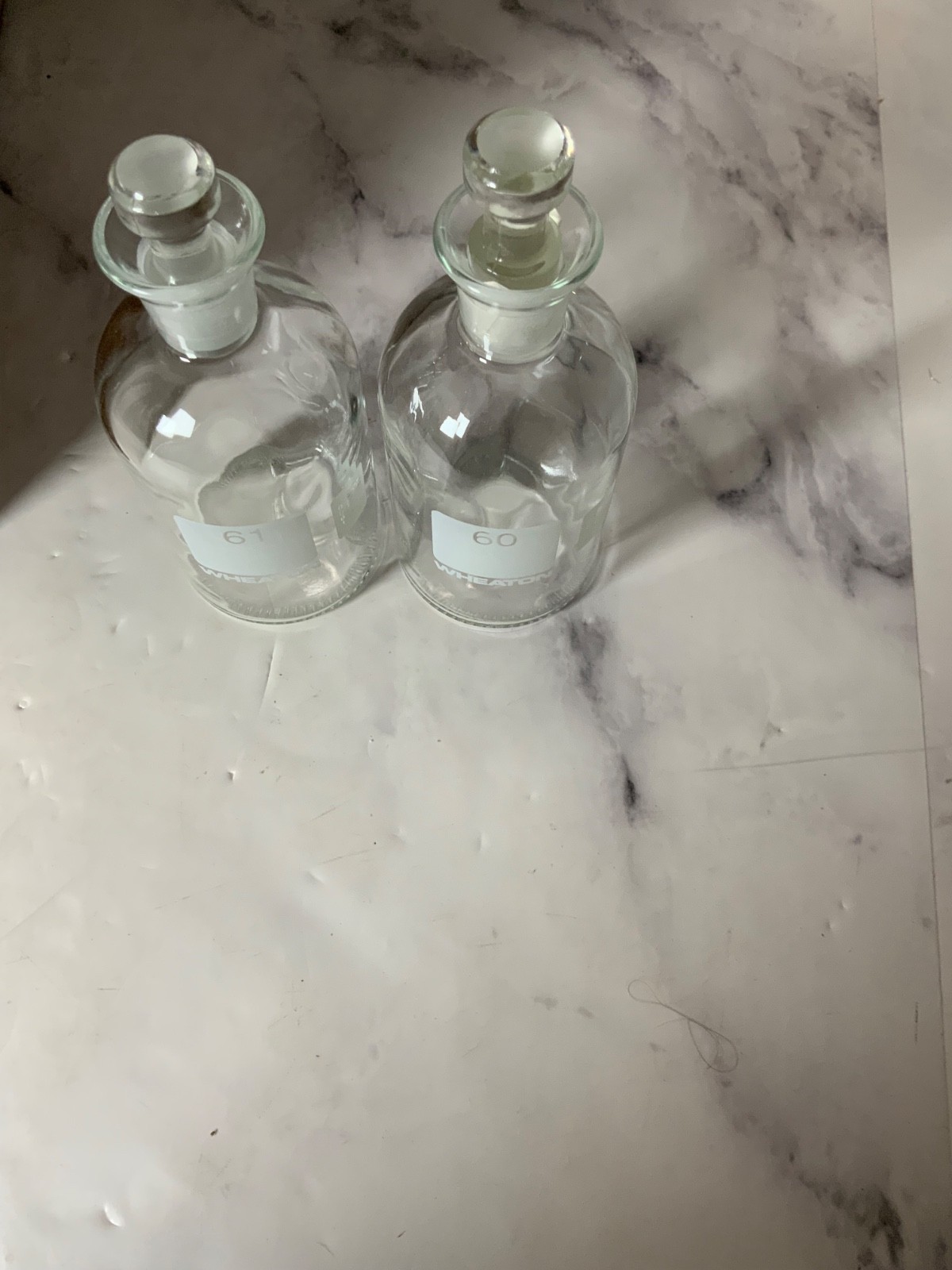 Wheaton 300 mL Glass Storage Bottles with Lids- case of 24