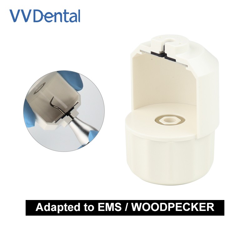Dental Semi-cylindrical Torque Wrench for EMS Woodpecker Handpiece Scaler Tips