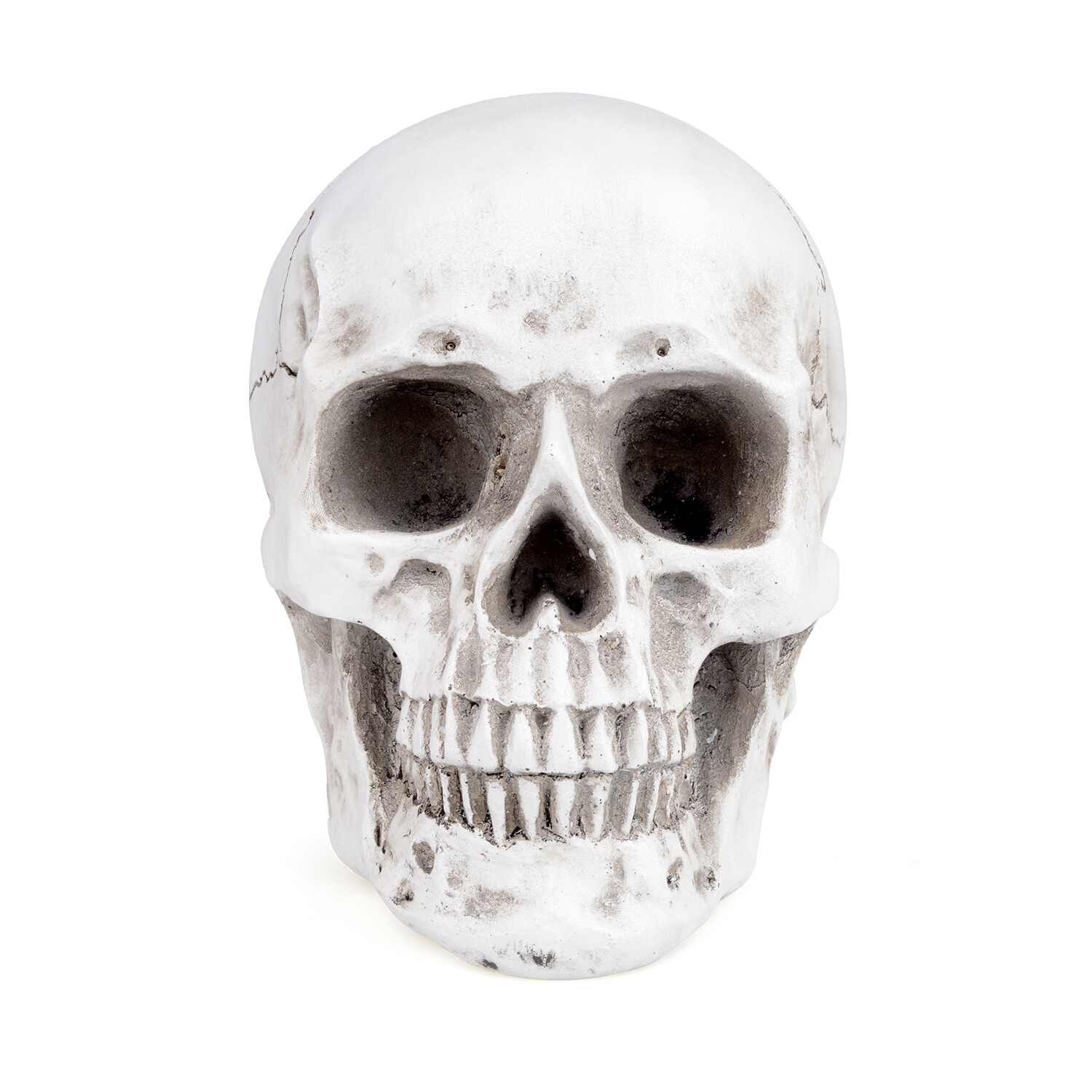 1:1 Retro Human Skull Replica Resin Anatomical Model Medical Life Size Realistic