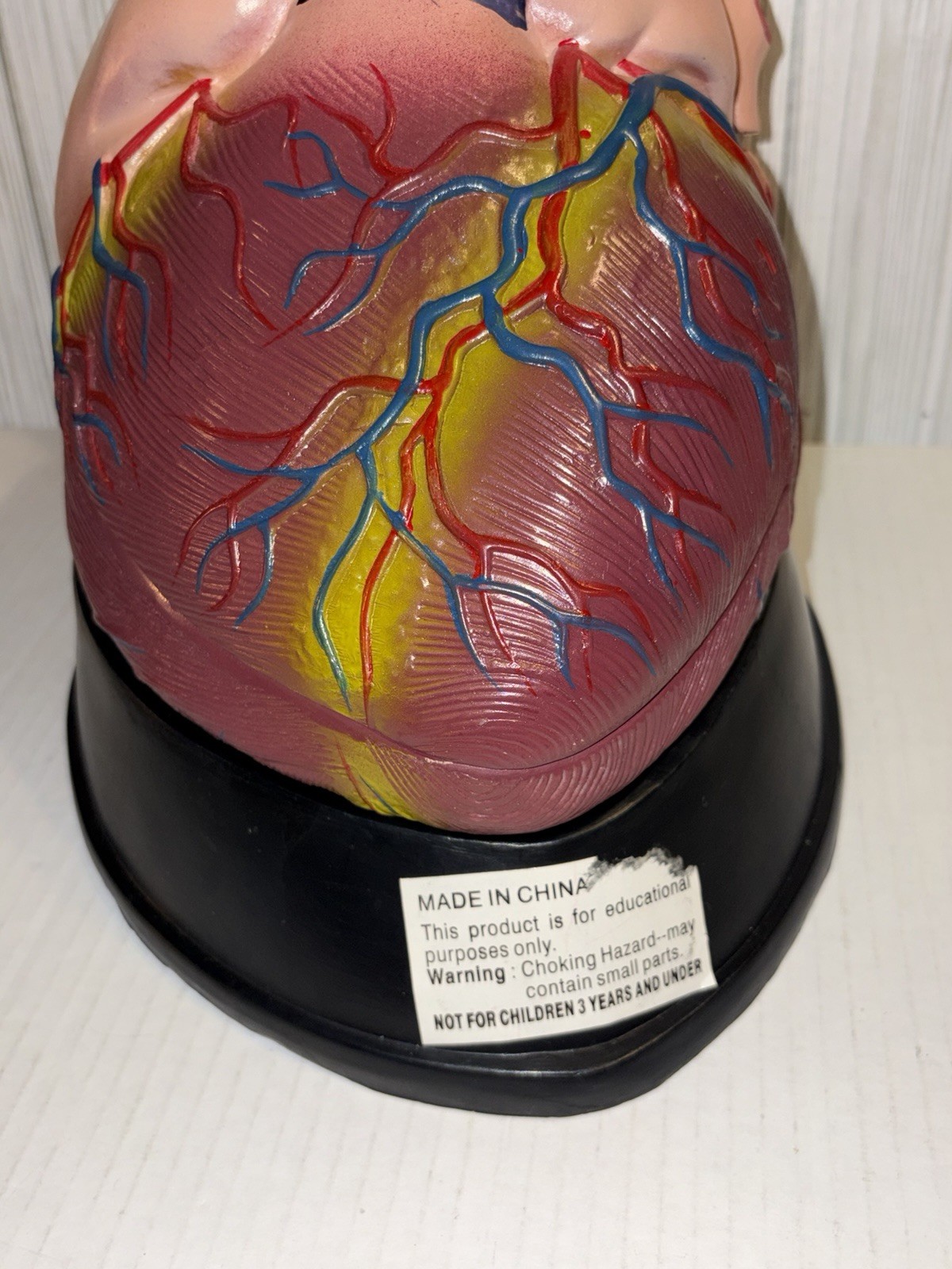Dissectible Human Anatomical Jumbo Heart Model 7 Piece + Base Teaching Model