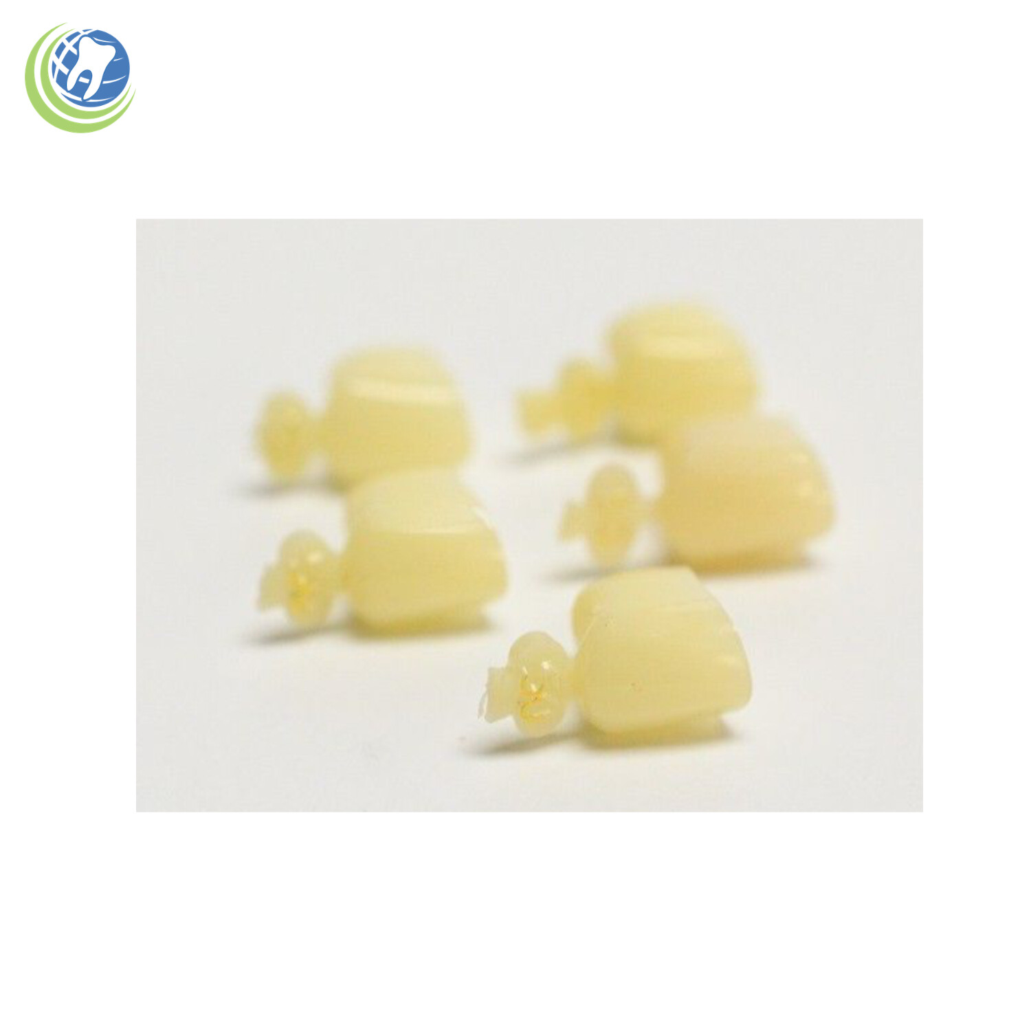 Tooth #4,13,20 or 29 Second Premolar Bicuspids Large Polycarbonate Crown Refill