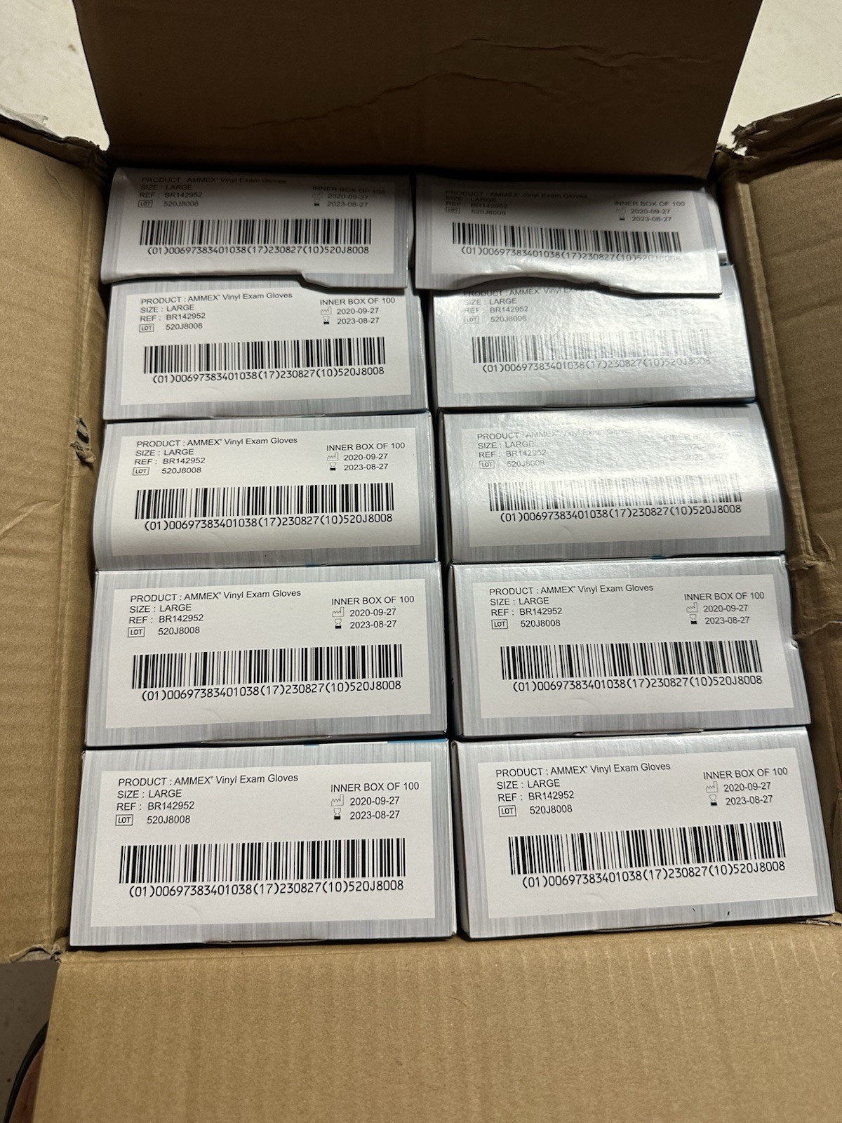1000 (10 Boxes) AMMEX L Large Professional Vinyl Exam Gloves Latex Powder Free