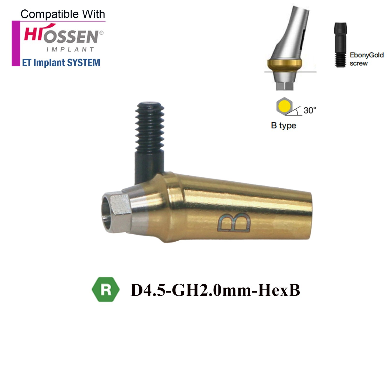 US Dental 17° Angled Anatomic Abutment Mini /Regular Fits Hiossen Osstem TS
