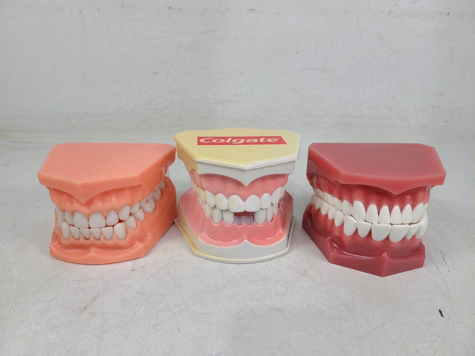Colgate Teeth Model Display With Removable Teeth Training Aid Lot Of 3