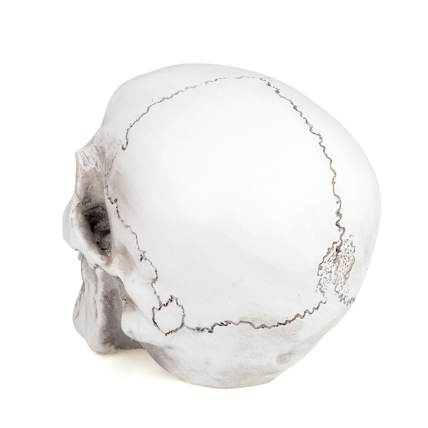 1:1 Retro Human Skull Replica Resin Anatomical Model Medical Life Size Realistic