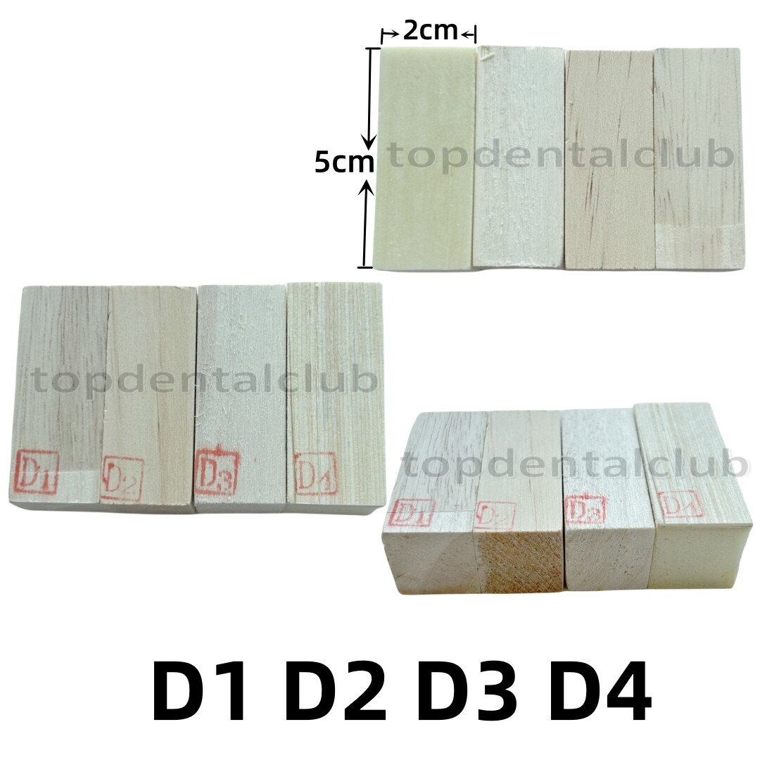 D3 Dental Study Jaw Bone Replica Practice Model Wood Blocks GBR/Implant Use