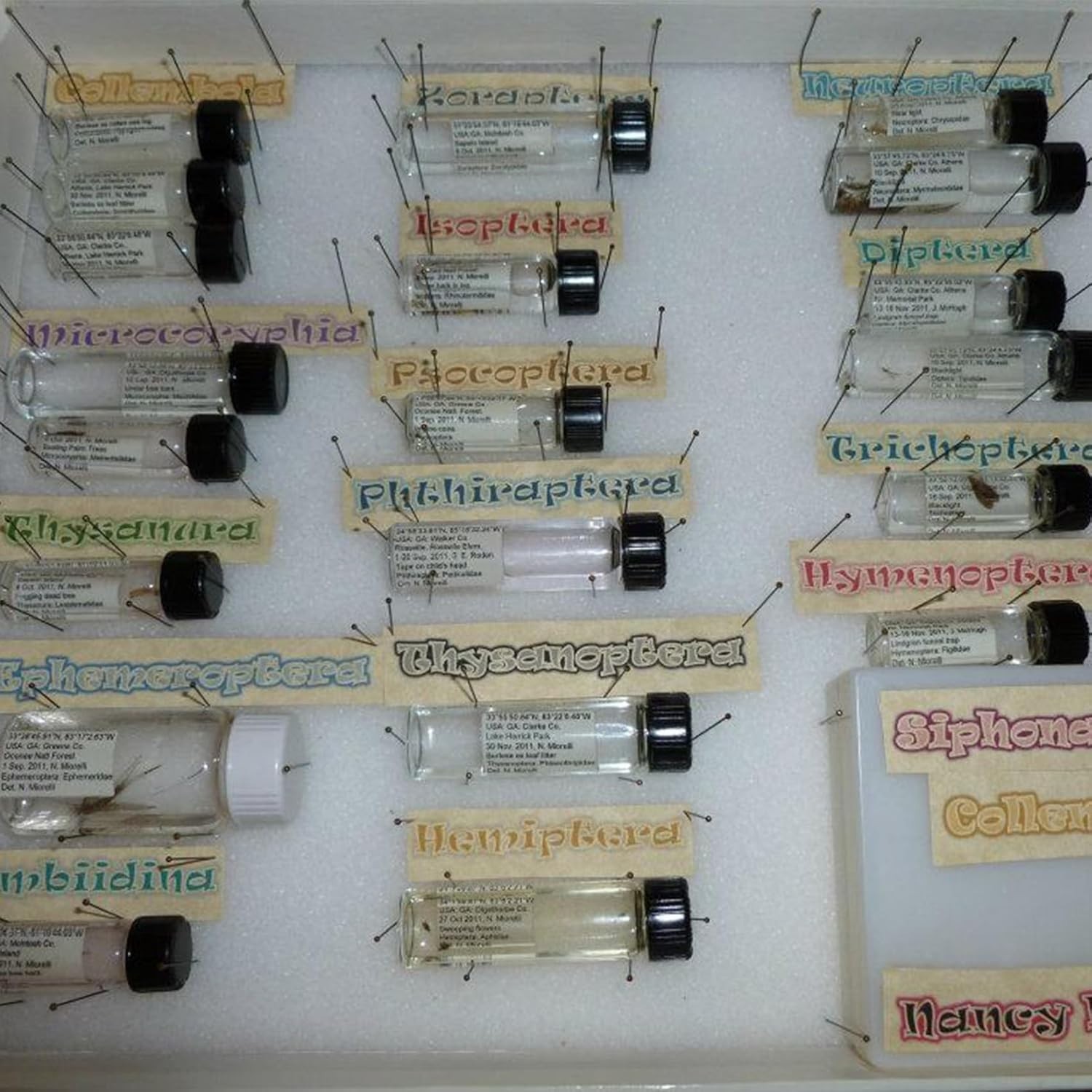 100 Leak-Proof 20ml Glass Vials for Reagent, Perfume