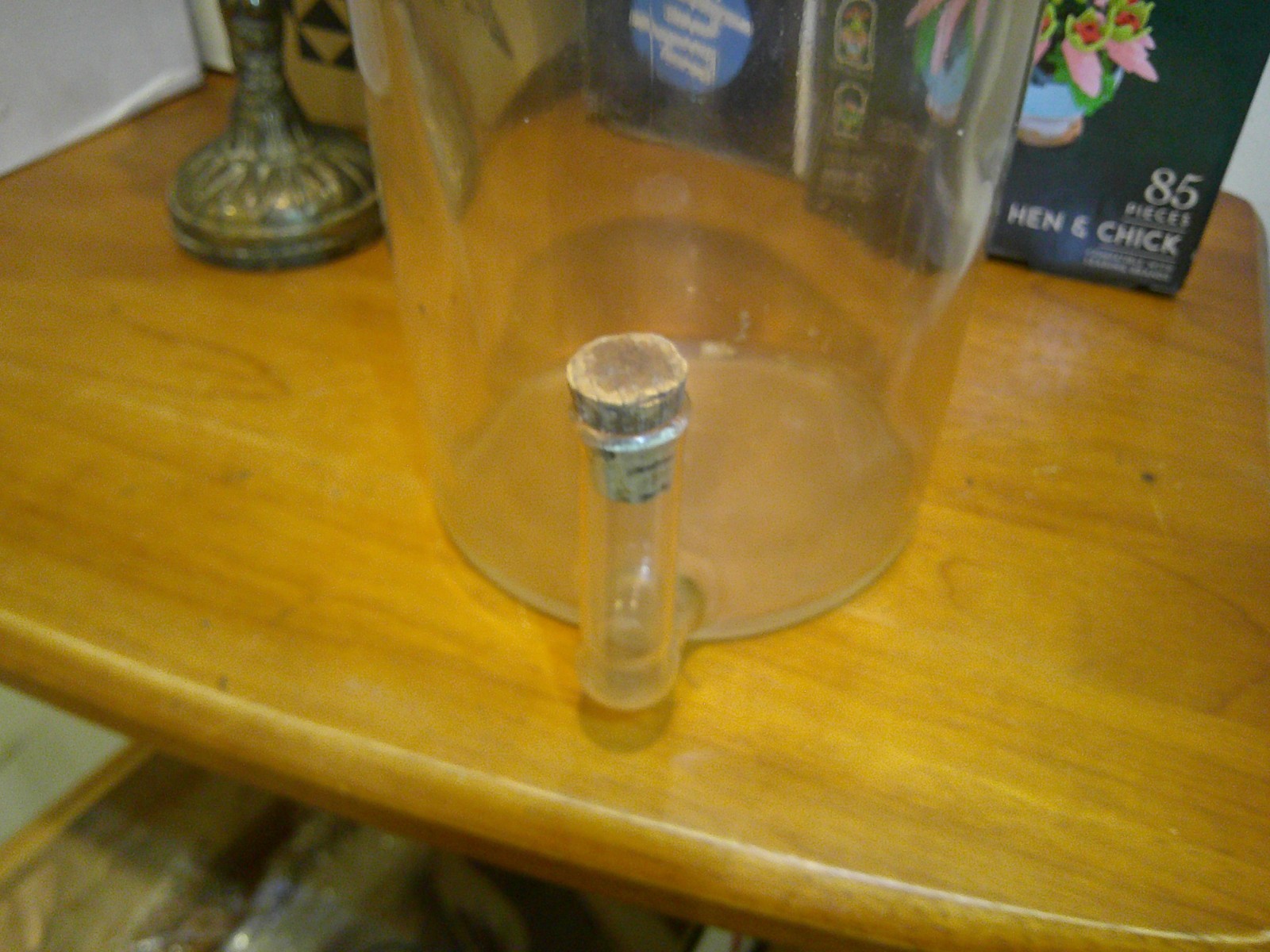 PYREX Glass Aspirator Bottle with Bottom Sidearm #56 G.FINKENBEINER, INC.