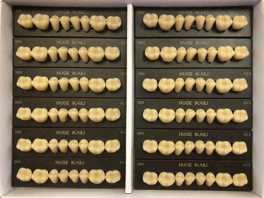 HUGE KAILI Synthetic Polymer False Teeth Lower Posterior SZ32 Full Box 12 sheets